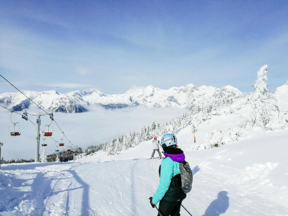 Koca Kronca - Velika Planina Stahovica Esterno foto